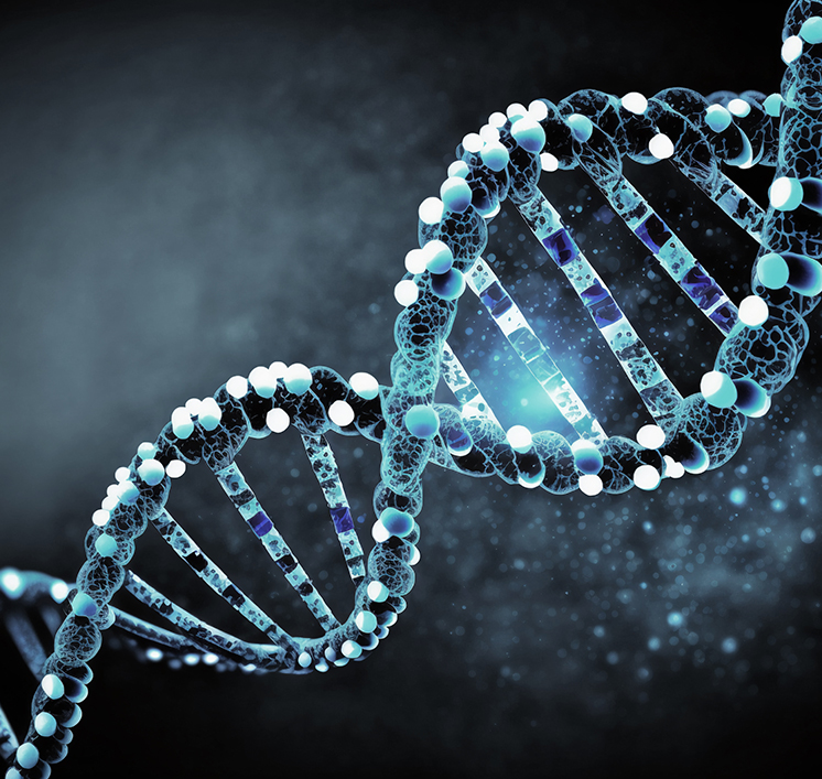 Molecular